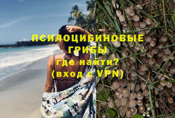 ECSTASY Гусев