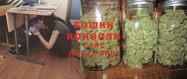 ECSTASY Гусев