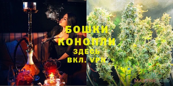 индика Аша