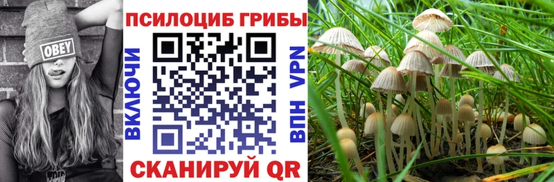 Галлюциногенные грибы MAGIC MUSHROOMS  как найти наркотики  Корсаков 