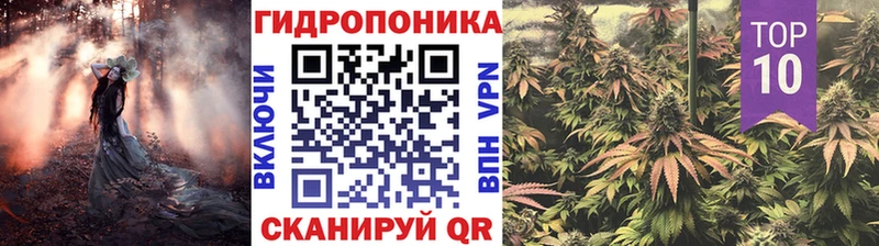 Конопля SATIVA & INDICA  Корсаков 